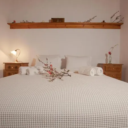 Eremia Rustic House - Entire In Pelion 马克里尼撒