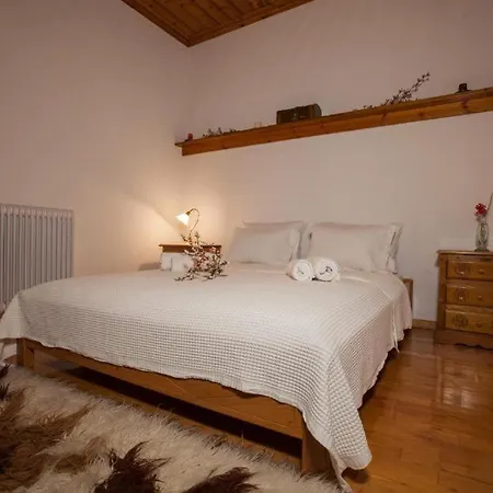 Eremia Rustic House - Entire In Pelion 别墅 *